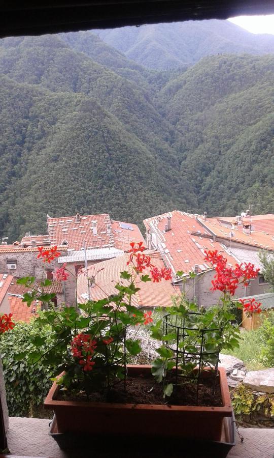 Casa Poggio Delle Farfalle Stazzema Eksteriør billede